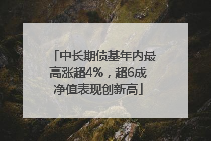 中长期债基年内最高涨超4%，超6成净值表现创新高