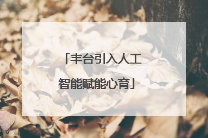 丰台引入人工智能赋能心育