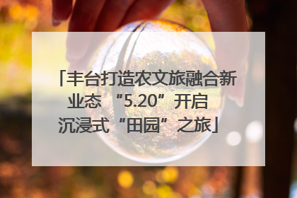 丰台打造农文旅融合新业态 “5.20”开启沉浸式“田园”之旅