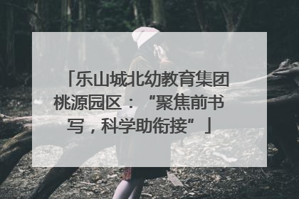 乐山城北幼教育集团桃源园区：“聚焦前书写，科学助衔接”
