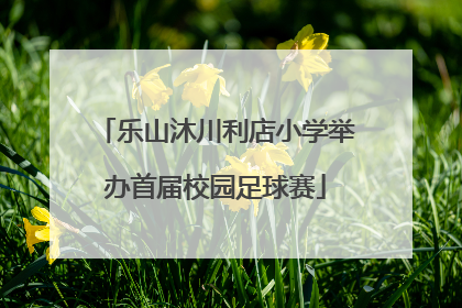 乐山沐川利店小学举办首届校园足球赛