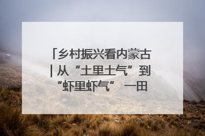 乡村振兴看内蒙古｜从“土里土气”到“虾里虾气” 一田双收模式火出圈