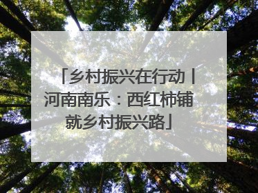 乡村振兴在行动丨河南南乐：西红柿铺就乡村振兴路