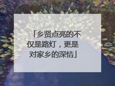 乡贤点亮的不仅是路灯，更是对家乡的深情