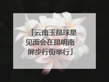 云南玉昆球星见面会在昆明南屏步行街举行