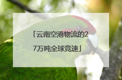云南空港物流的27万吨全球竞速