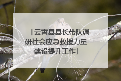 云霄县县长带队调研社会应急救援力量建设提升工作