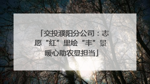 交投濮阳分公司：志愿“红”里绘“丰”景 暖心助农显担当