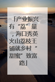 产业振兴有“荔”量，海口秀英火山荔枝王铺就乡村“甜蜜”致富路