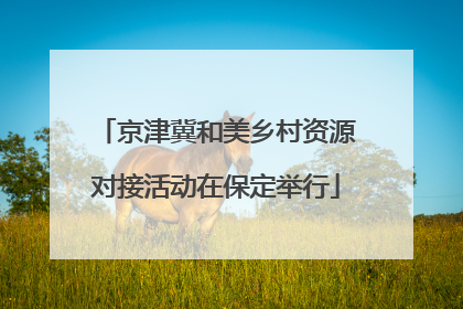 京津冀和美乡村资源对接活动在保定举行