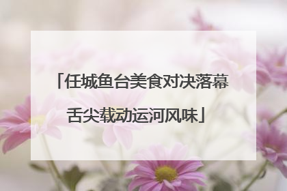 任城鱼台美食对决落幕 舌尖载动运河风味
