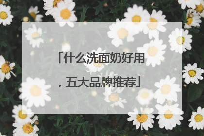 什么洗面奶好用，五大品牌推荐