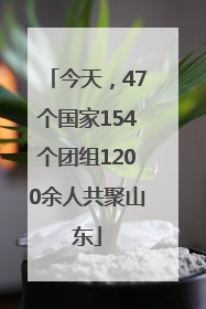 今天，47个国家154个团组1200余人共聚山东