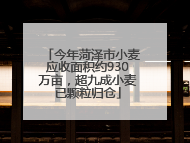今年菏泽市小麦应收面积约930万亩，超九成小麦已颗粒归仓