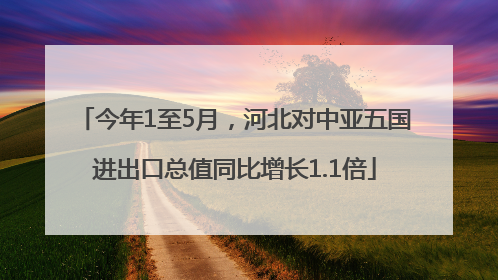 今年1至5月，河北对中亚五国进出口总值同比增长1.1倍