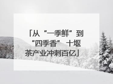 从“一季鲜”到“四季香” 十堰茶产业冲刺百亿