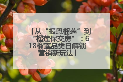 从“报恩榴莲”到“榴莲保交房”：618榴莲品类日解锁营销新玩法