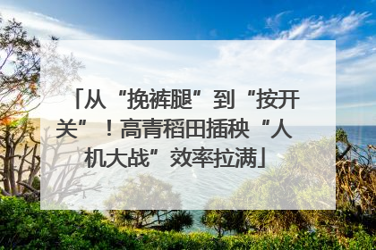 从“挽裤腿”到“按开关”！高青稻田插秧“人机大战”效率拉满