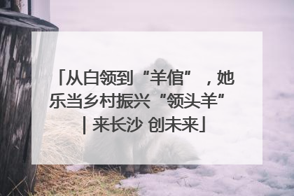 从白领到“羊倌”，她乐当乡村振兴“领头羊”｜来长沙 创未来