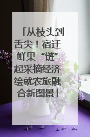 从枝头到舌尖！宿迁鲜果“链”起采摘经济绘就农旅融合新图景