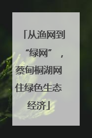 从渔网到“绿网”，蔡甸桐湖网住绿色生态经济