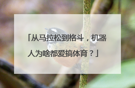 从马拉松到格斗，机器人为啥都爱搞体育？