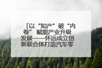 以“知产”破“内卷” 赋能产业升级发展——怀远成立创新联合体打造汽车零部件产业新高地