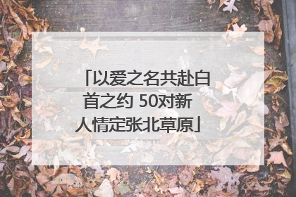 以爱之名共赴白首之约 50对新人情定张北草原