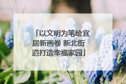 以文明为笔绘宜居新画卷 新北街道打造幸福家园
