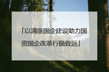 以清廉国企建设助力国资国企改革行稳致远