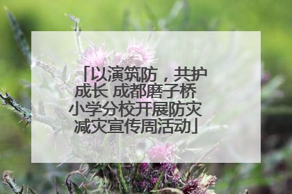 以演筑防，共护成长 成都磨子桥小学分校开展防灾减灾宣传周活动