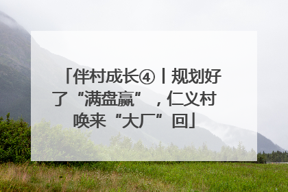 伴村成长④丨规划好了“满盘赢”，仁义村唤来“大厂”回