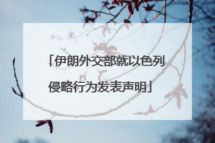 伊朗外交部就以色列侵略行为发表声明