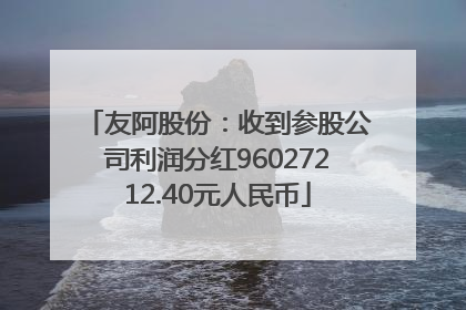 友阿股份：收到参股公司利润分红96027212.40元人民币
