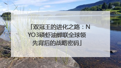 双冠王的进化之路：NYO3磷虾油蝉联全球领先背后的战略密码