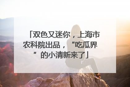 双色又迷你，上海市农科院出品，“吃瓜界”的小清新来了