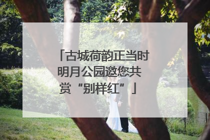 古城荷韵正当时 明月公园邀您共赏“别样红”