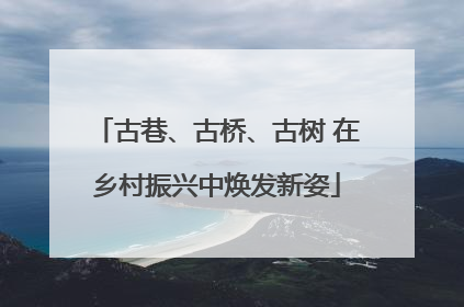 古巷、古桥、古树 在乡村振兴中焕发新姿