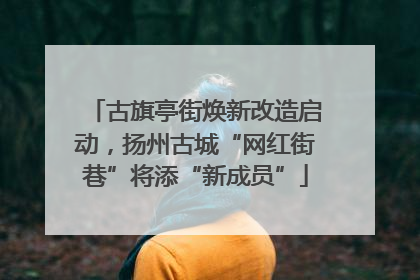 古旗亭街焕新改造启动，扬州古城“网红街巷”将添“新成员”