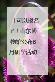 可以报名了！山东博物馆公布6月研学活动