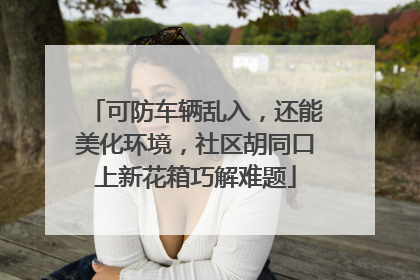 可防车辆乱入，还能美化环境，社区胡同口上新花箱巧解难题