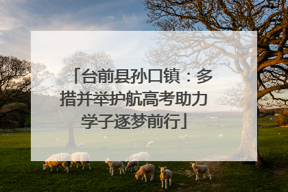台前县孙口镇：多措并举护航高考助力学子逐梦前行