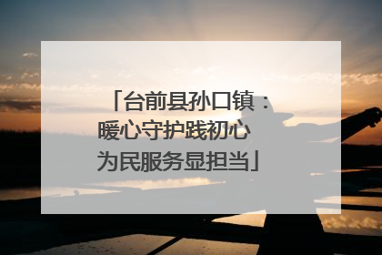 台前县孙口镇：暖心守护践初心 为民服务显担当