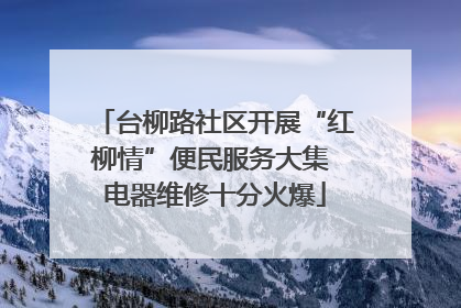 台柳路社区开展“红柳情”便民服务大集 电器维修十分火爆