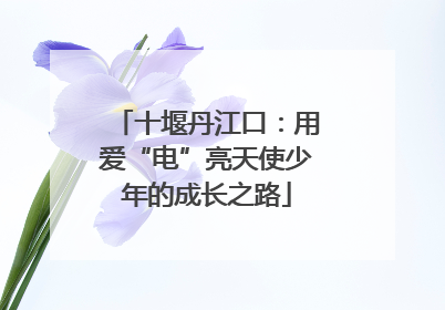 十堰丹江口：用爱“电”亮天使少年的成长之路