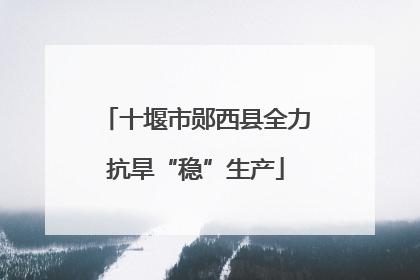 十堰市郧西县全力抗旱“稳”生产