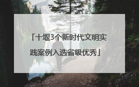 十堰3个新时代文明实践案例入选省级优秀