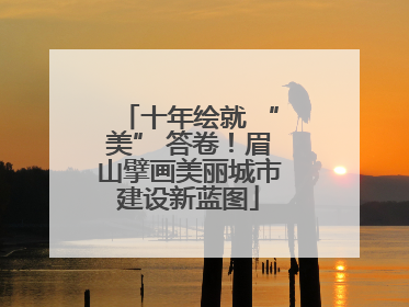 十年绘就 “美” 答卷！眉山擘画美丽城市建设新蓝图