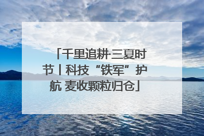 千里追耕·三夏时节丨科技“铁军”护航 麦收颗粒归仓