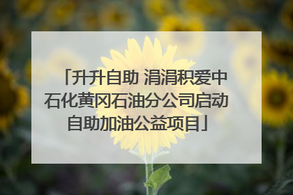 升升自助 涓涓积爱中石化黄冈石油分公司启动自助加油公益项目